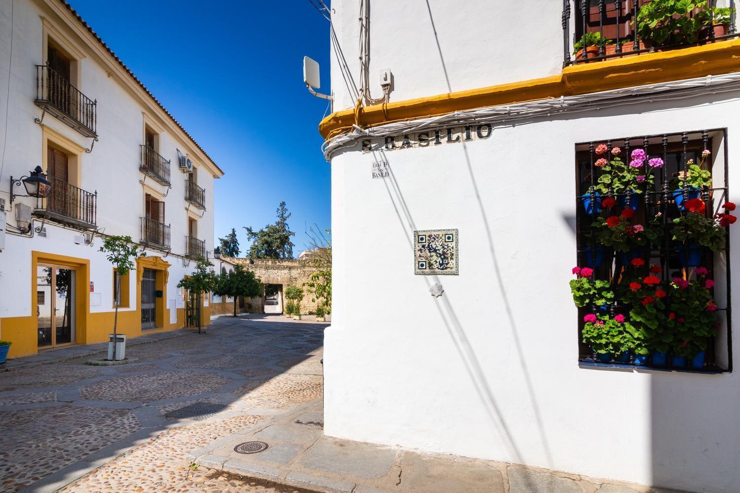 Tejar De San Basilio Daire Cordoba Dış mekan fotoğraf